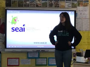 SEAI ( Sustainable Energy Authority of Ireland) Workshops