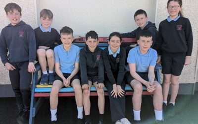 Best of Luck Quiz Teams