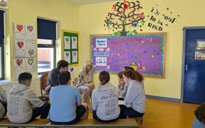 Bí Cineálta Student Consultation for Senior Classes