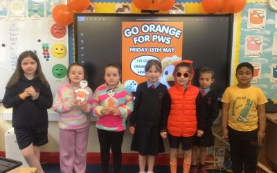 Orange Day for PWS Awareness