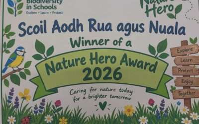 Nature Hero Award 2025-2026