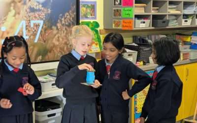 STEM Challenge-Protect an Organ