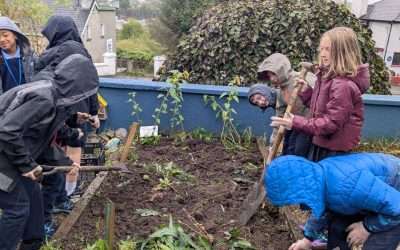 Autumn Harvesting of Vegetables